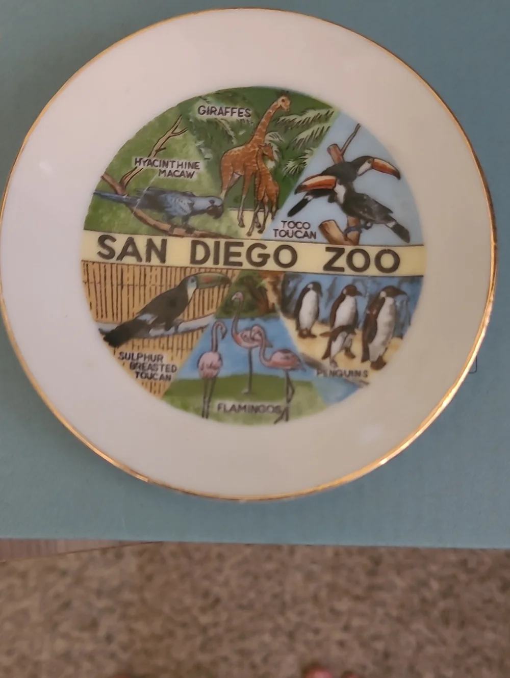 Small 1980 San Diego Zoo Souvenir Decorative Plate - Multicolor